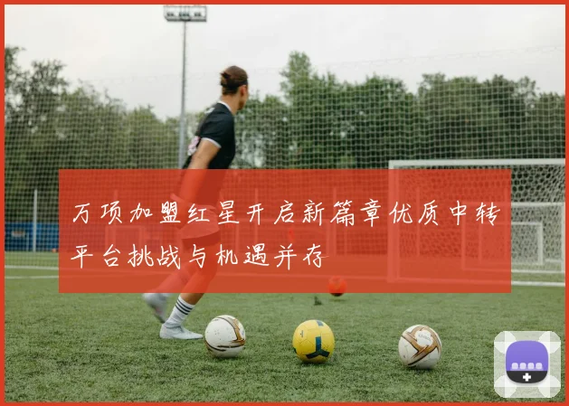 万项加盟红星开启新篇章优质中转平台挑战与机遇并存
